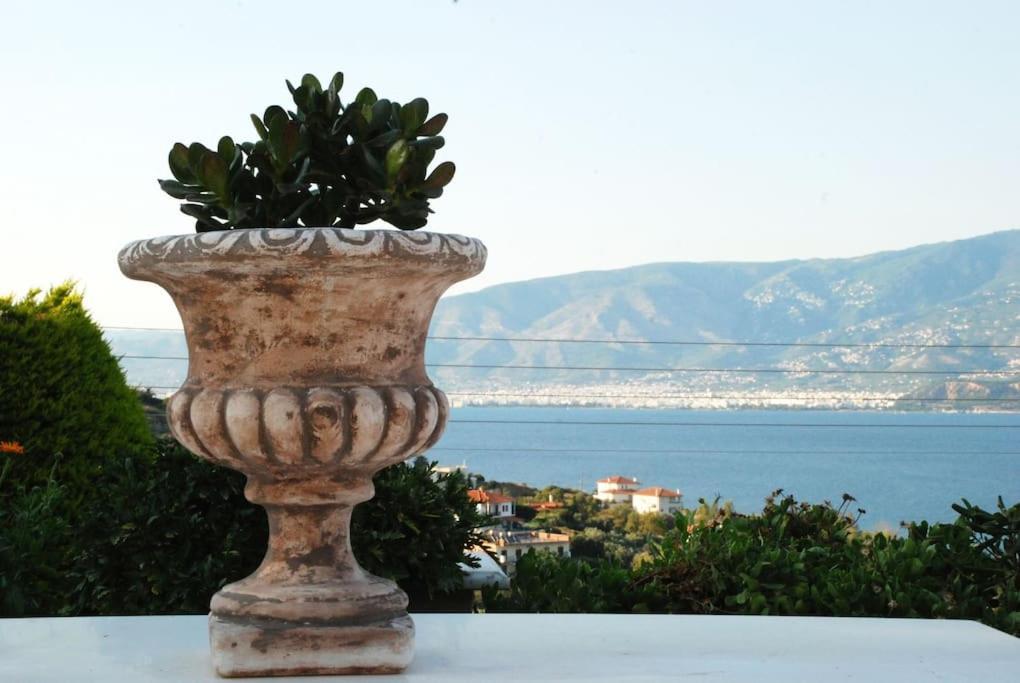 Evelina - Home With View Βόλος Εξωτερικό φωτογραφία